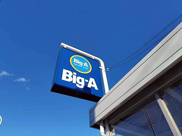 ビッグ・エー 東久留米下里店(約600m)