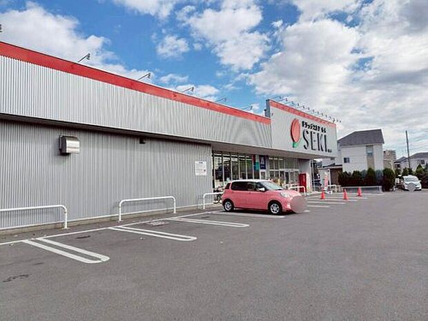 ドラッグストアセキ前沢店(約750m)