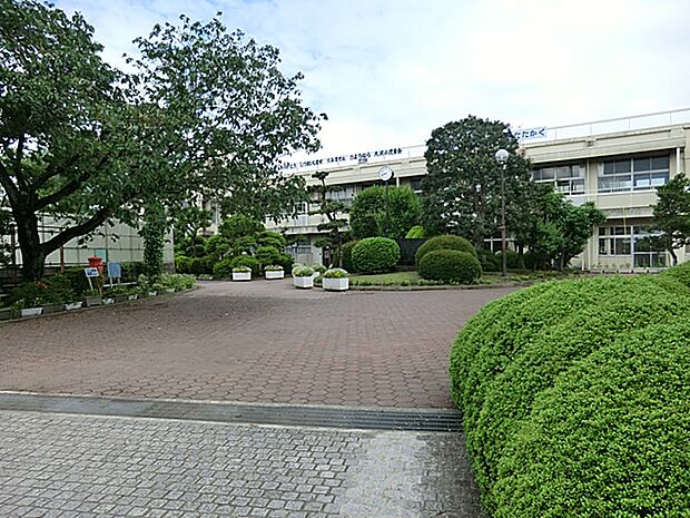 相模原市立大沢小学校(約800m・徒歩10分)