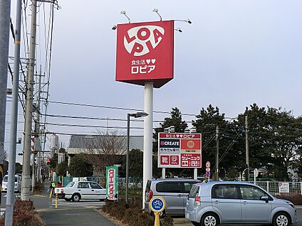 ロピア石川店 700m(9分)