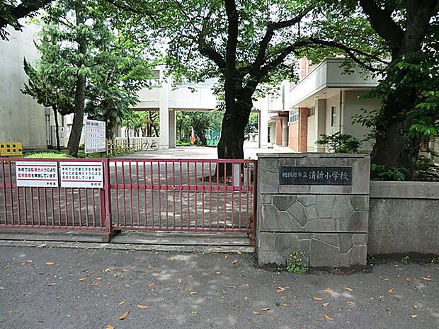 相模原市立清新小学校（約550m・徒歩7分）