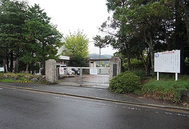 小田原市立国府津中学校(約560m・徒歩7分)