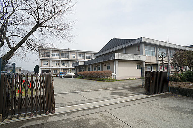 南足柄市立向田小学校（約800m・徒歩10分）