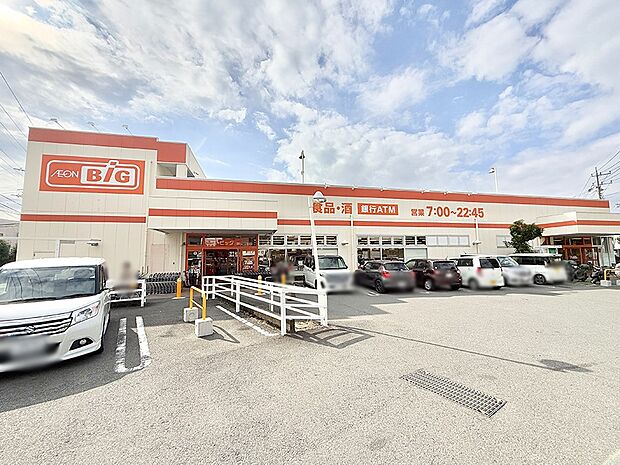 ザ・ビッグ 二宮店（約2,000m・徒歩25分）