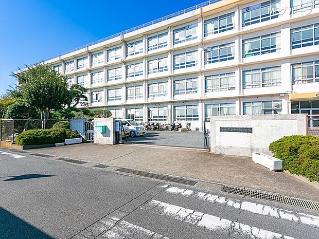 平塚市立神明中学校(約450m・徒歩6分)