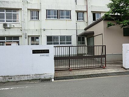 川崎市立東橘中学校 1000m(13分)