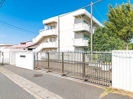 横浜市立汲沢中学校  750m(10分)