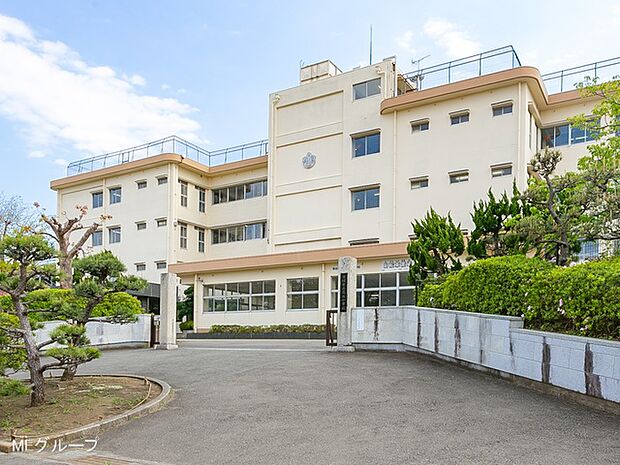 平塚市立花水小学校(約600m・徒歩8分)