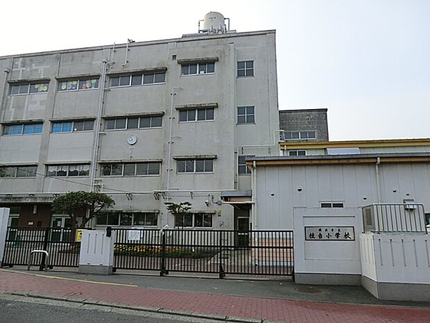 横浜市立桂台小学校（約1,040m・徒歩13分）