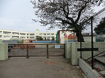 横浜市立白根小学校 750m(10分)