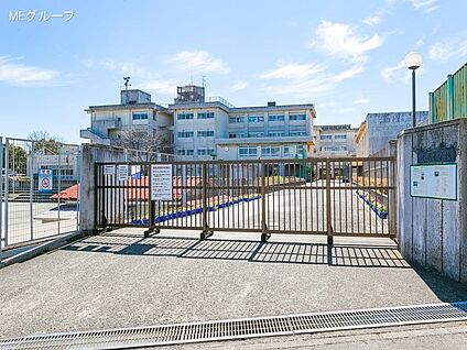 藤沢市立小糸小学校 820m(11分)