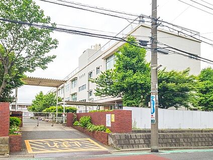横浜市立藤の木小学校 500m(7分)