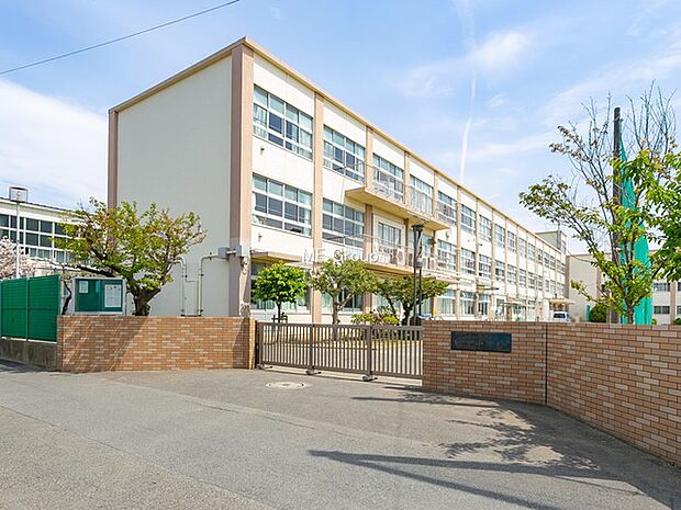 茅ヶ崎市立松浪中学校(約400m・徒歩5分)