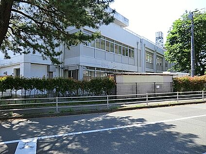 横須賀市立久里浜小学校 1300m(17分)