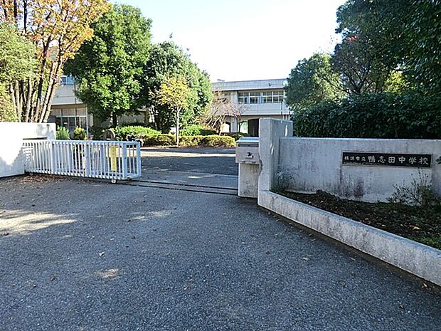 横浜市立鴨志田中学校(約1,110m・徒歩14分)