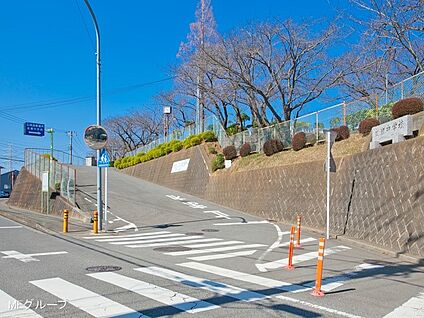 伊勢原市立成瀬中学校 1900m(24分)