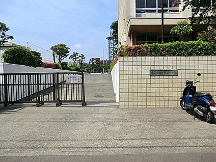 藤沢市立滝の沢中学校 850m(11分)