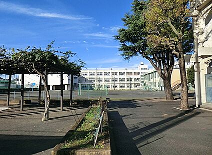 横浜市立南瀬谷小学校 500m(7分)