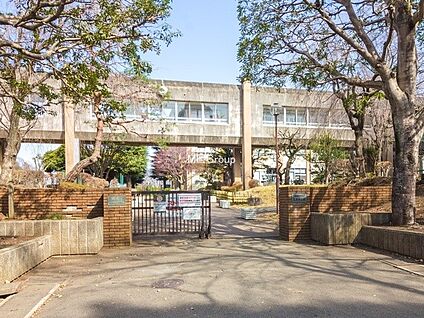 相模原市立上溝中学校 2960m(37分)