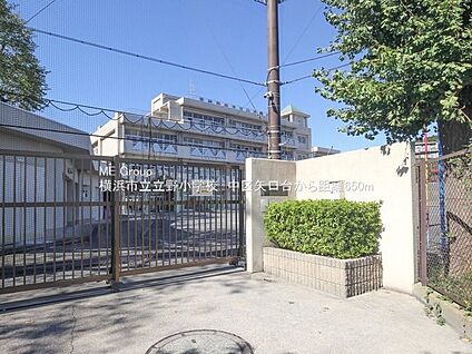 横浜市立立野小学校 320m(4分)