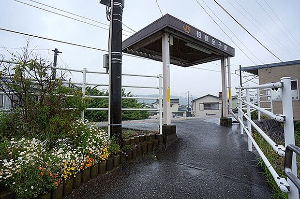 JR御殿場線「相模金子」駅(約800m・徒歩10分)