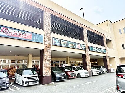 食品館あおば 大井松田店 800m(10分)