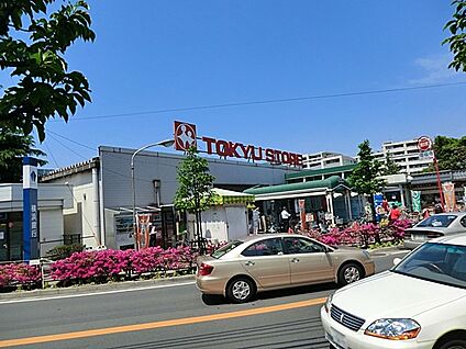 東急ストア梶が谷店 800m(10分)