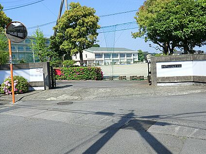 平塚市立金旭中学校 1900m(24分)
