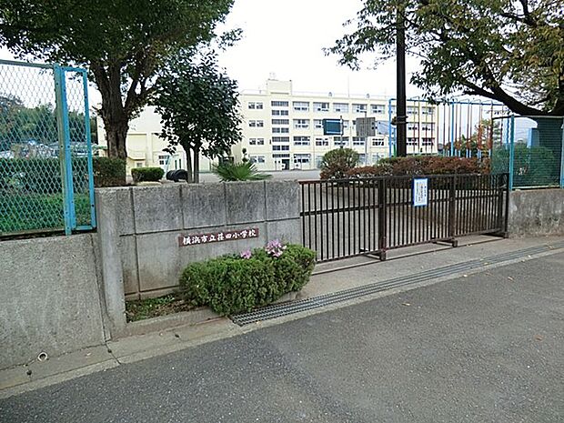 横浜市立荏田小学校(約600m・徒歩8分)