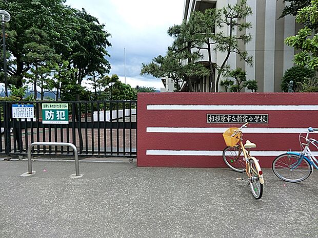 相模原市立新宿小学校(約1,000m・徒歩13分)