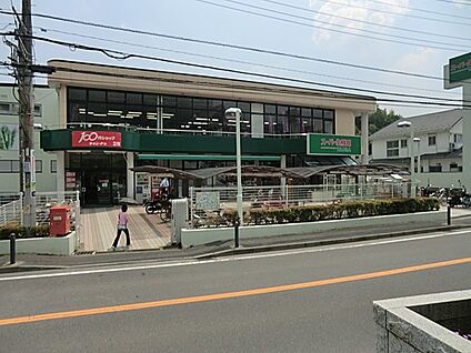 スーパーTAIGA 岡津店 650m(9分)