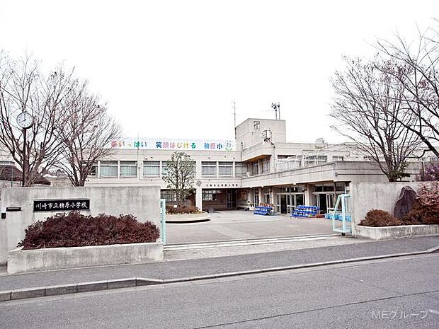 川崎市立稗原小学校(約400m・徒歩5分)