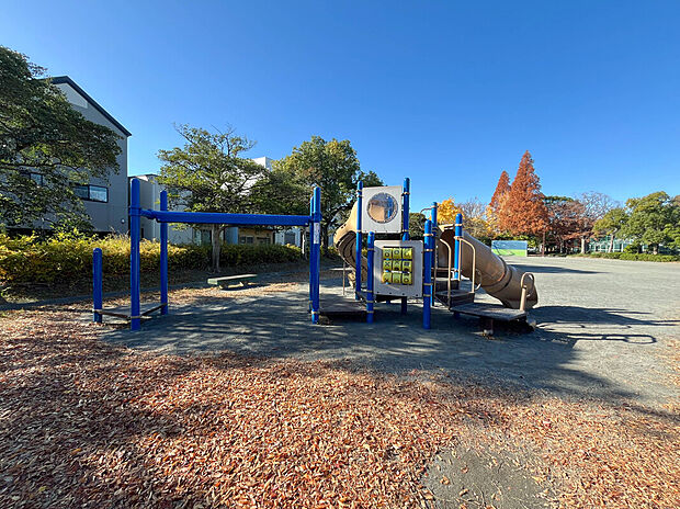 高畑公園（約20m）