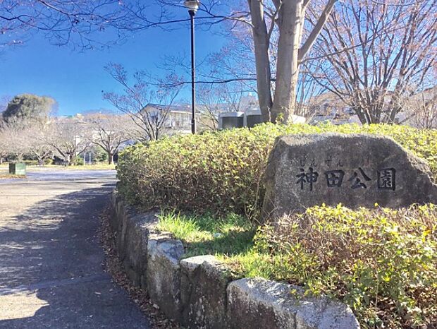 神田公園(約950m)