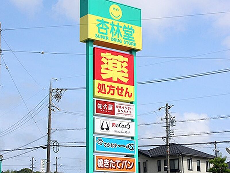 【買い物】杏林堂薬局袋井下山梨店