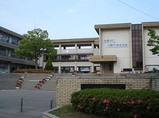 中央台北中学校(約2m)