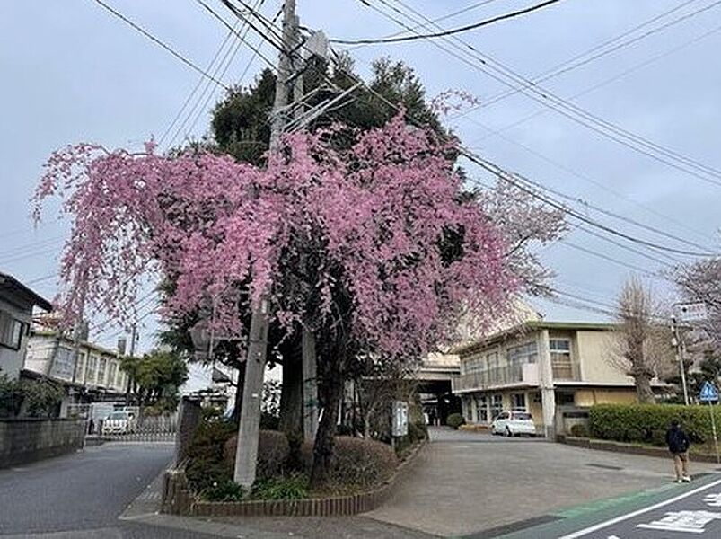 取手市立白山小学校：徒歩13分（1000ｍ）