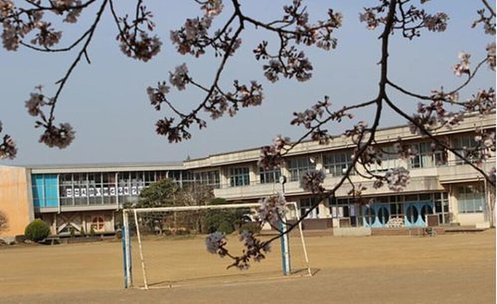 【学校】龍ケ崎市立松葉小学校