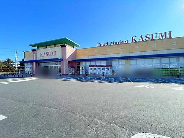 カスミ千代田店（約2,600m）