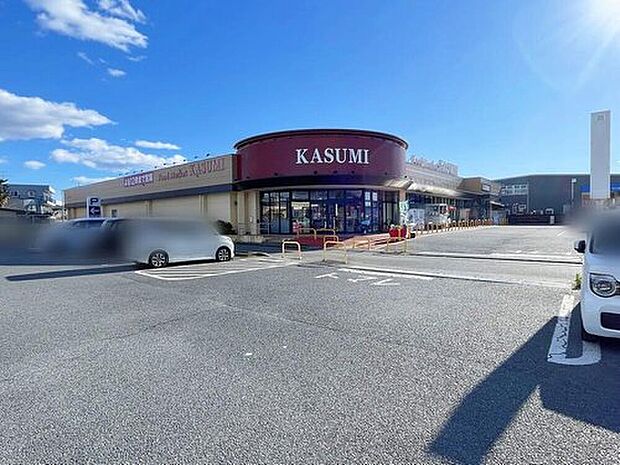 カスミ平須店(約550m)