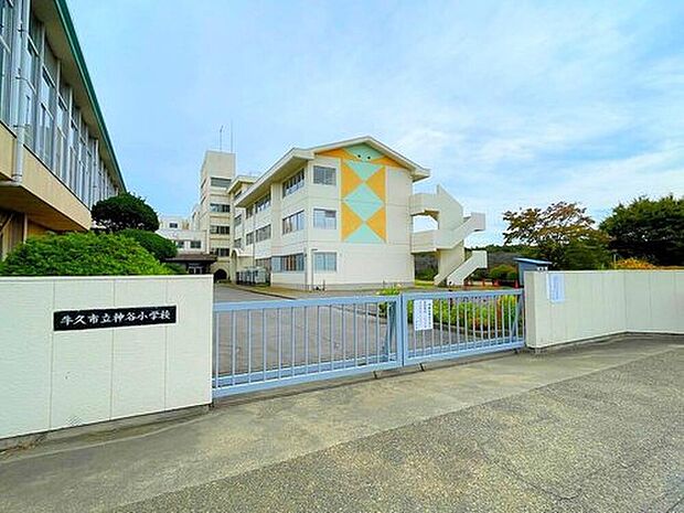 牛久市立神谷小学校(約1,080m)