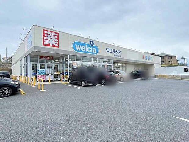 ウエルシア土浦中高津店（約980m）