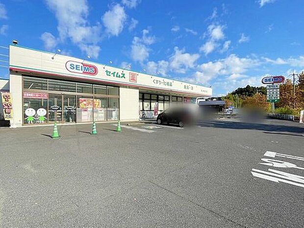 ドラッグセイムス竜ヶ崎白羽店（約1,380m）