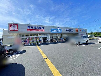 ウエルシア龍ケ崎馴馬店 1300m(徒歩17分/車3分)