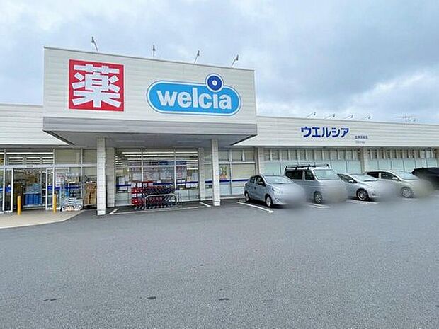 ウエルシア土浦真鍋店（約1,100m）