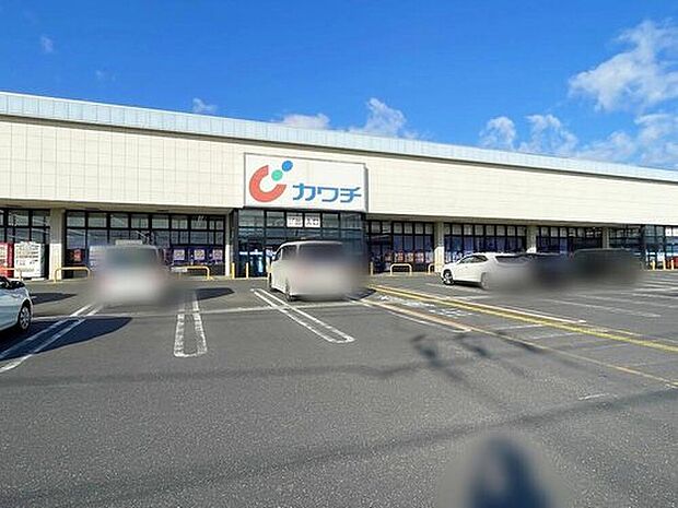 カワチ薬品竜ヶ崎店（約390m）