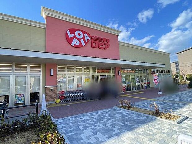 ロピア取手店（約930m）