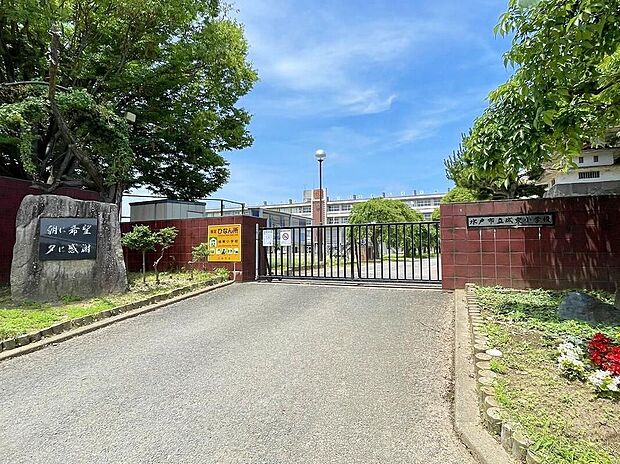 水戸市立城東小学校(約600m)