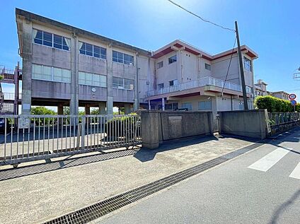土浦市立神立小学校 1100ｍ(徒歩14分)