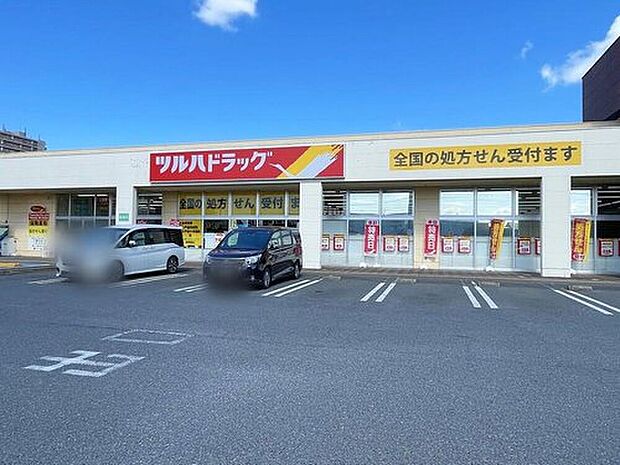 ツルハドラッグ水戸赤塚店(約580m)